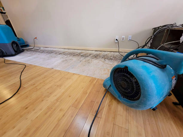 Professional Water Removal technician working in Randolph, MA